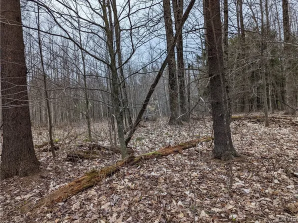 18 Cedar Ln, Glenfield, NY 13343