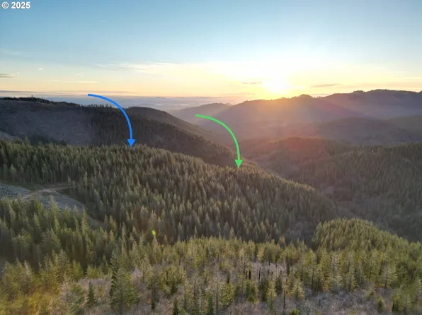 Skamania Mines Rd, Washougal, WA 98671