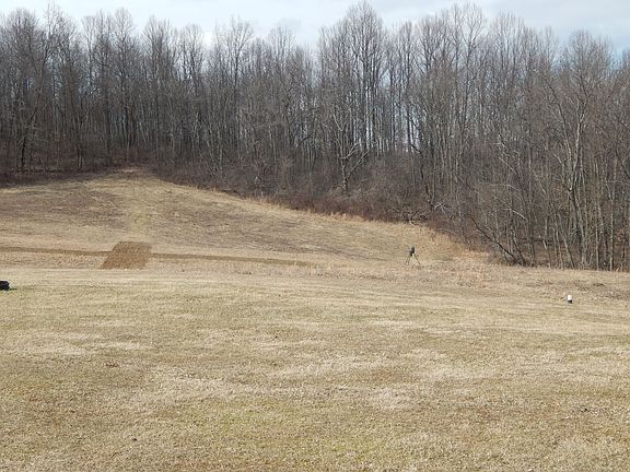 Back Field