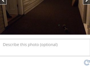 9 2nd Ave, Baltimore, MD