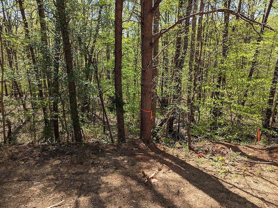2nd image of 0 Falcon Rd