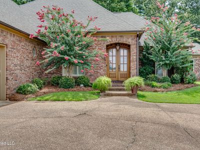 425 Turtle Ln, Brandon, MS, 39047
