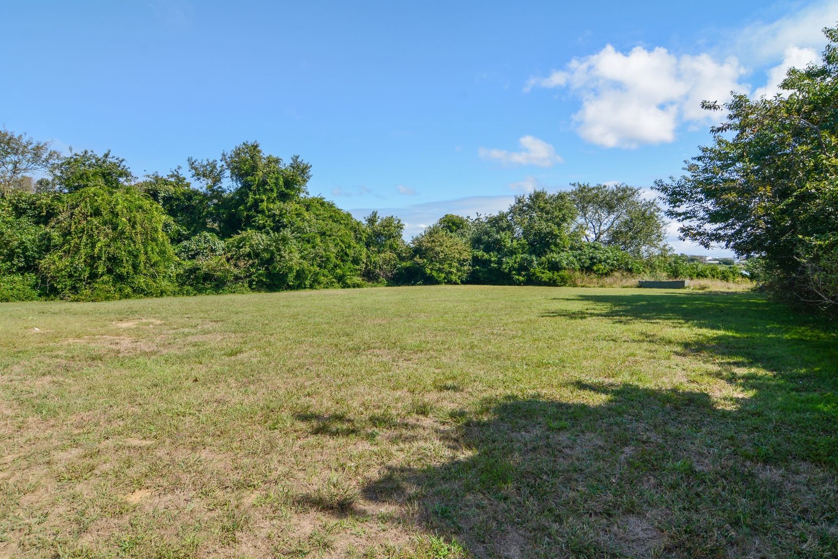  Rear yard facing water