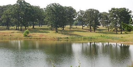 4th image of 10851 County Road 233