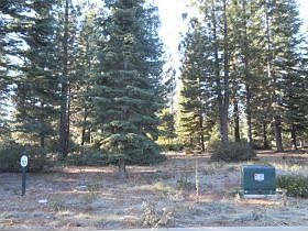 2nd image of 181 Balsam Fir Rd