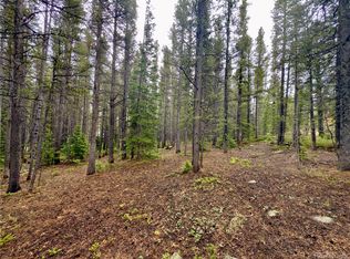 Lot 285 Lower Forest Road LOT 285, Idaho Springs, CO 80452