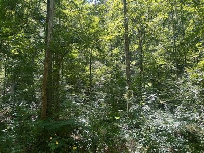 0 Pleasant Valley Rd, Greenup, KY, 41144