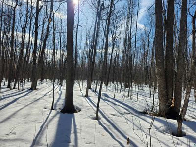 Holt Rd, Bayfield, WI, 54814