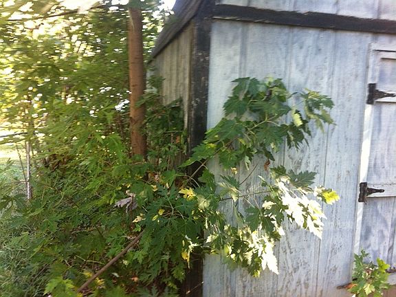 5th image of 3468 Glendale Ave