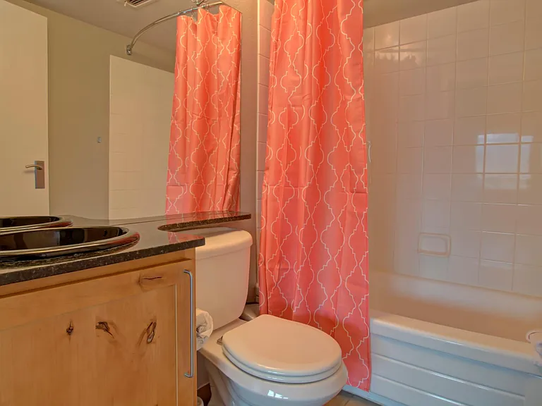 417 E Kiowa St #1004 — Photo 9