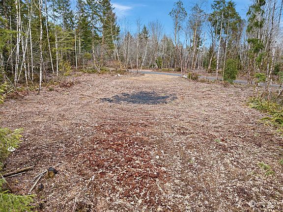 2nd image of 40 E Cascara Cove Lane