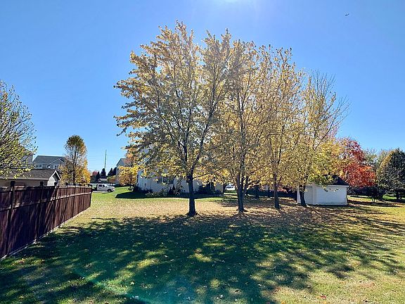 Large Backyard