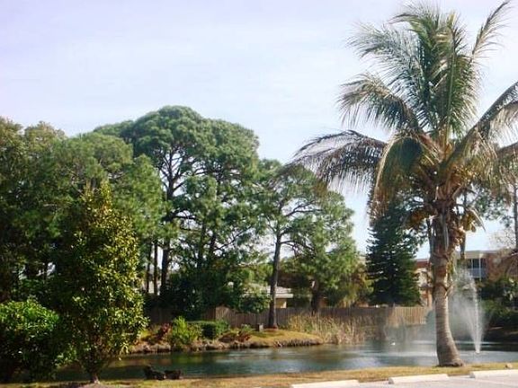 Pond