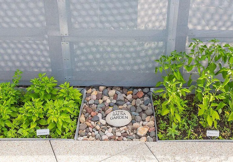 The Lyric at Carleton Place — Photo 20