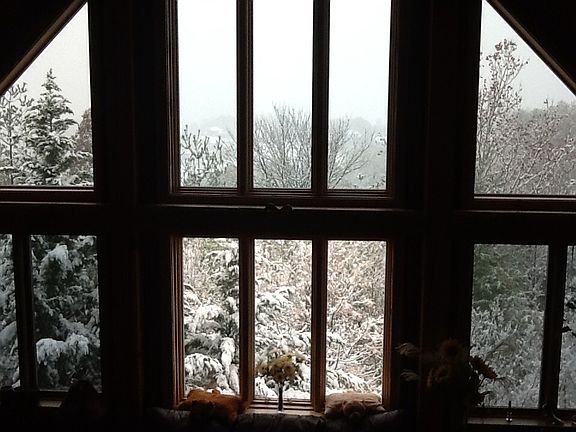 Post and beam dream treehous