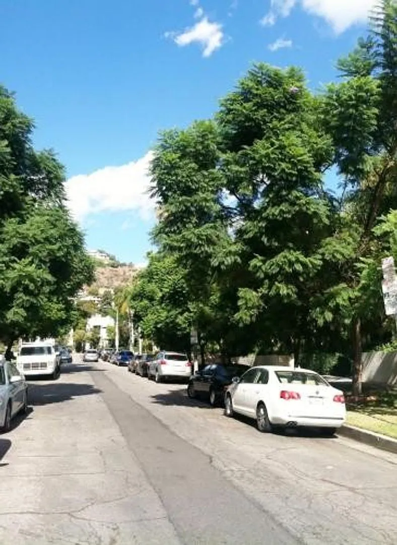 Hayworth — Photo 2
