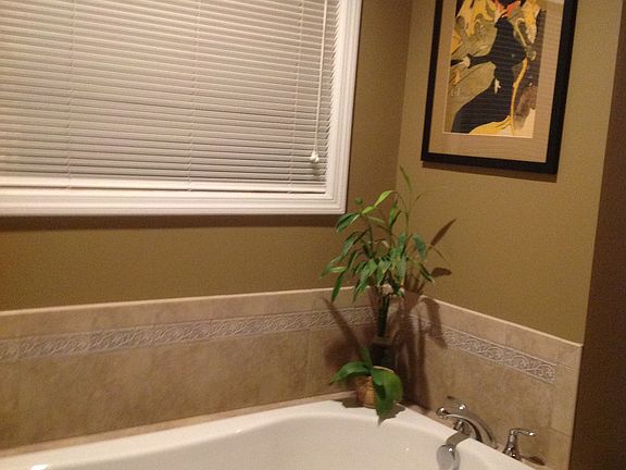 Deep jacuzzi soaking tub