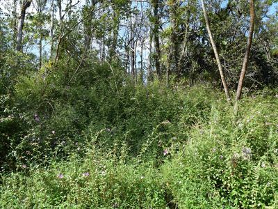 14-3539 Kauai Rd Lot 287, Pahoa, HI, 96778