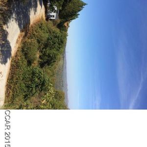 6067 Sheep Ranch Rd, Murphys, CA, 95247