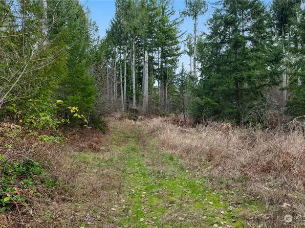 17 xxx Mulqueen Road SE, Rainier, WA 98576