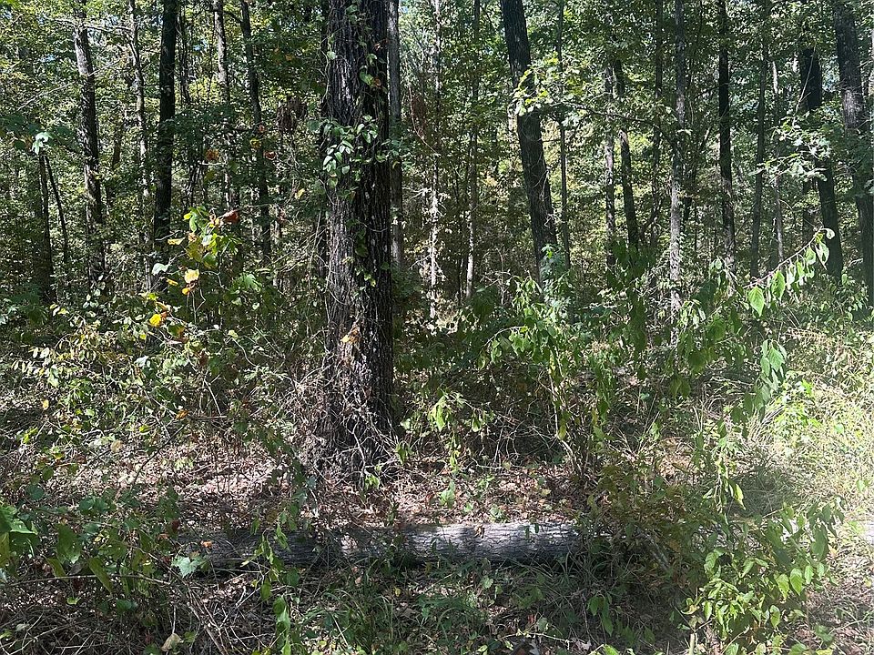 2nd image of 394 Denmon Rd