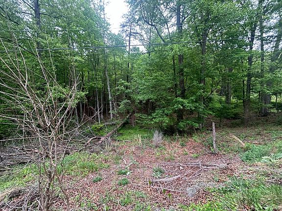 4th image of 0 Timberview Rd