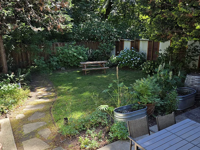 Backyard view from house
