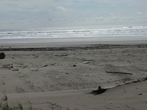 4th image of 4081 Seashore Ave
