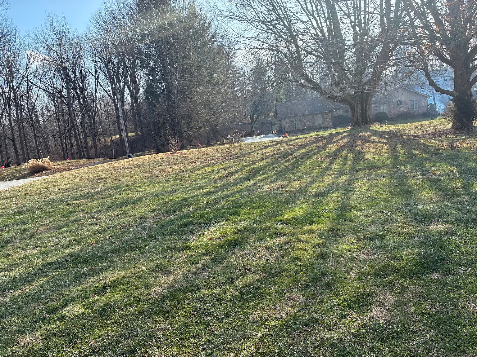 3 bed, 1200 sqft, $1,800 — Photo 3