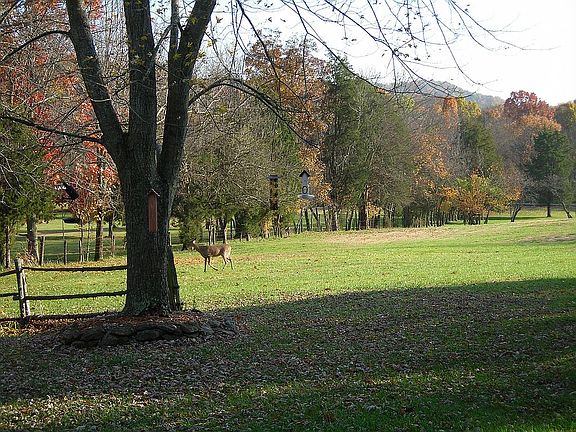 View from front porch