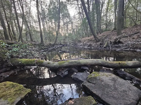 100 Clendenon Rd, Spencer, TN 38585