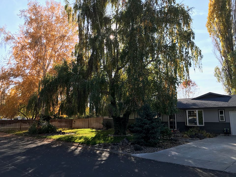 Front yard in the Fall