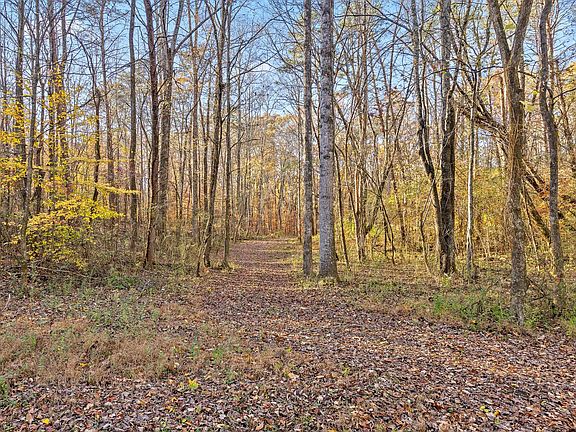 3rd image of 8 County Road 121 Lot 8