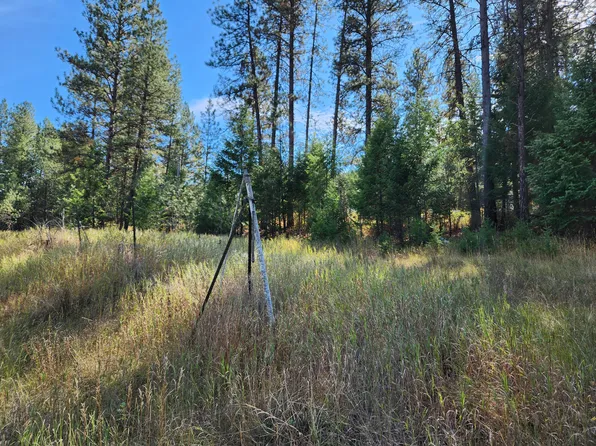 Tbd Pine Grove St, Republic, WA 99166