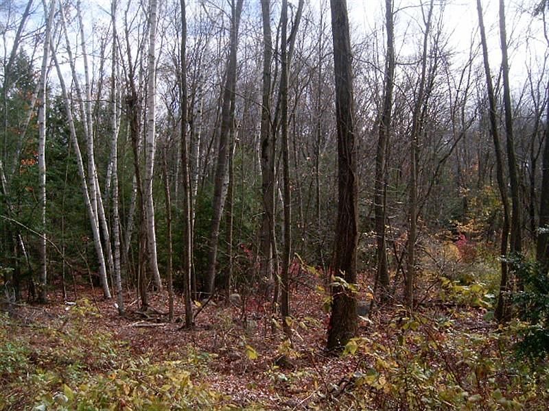 2nd image of 16 White Birch Ln