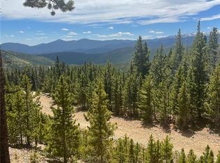123 Lincoln Dr #914, Idaho Springs, CO 80452