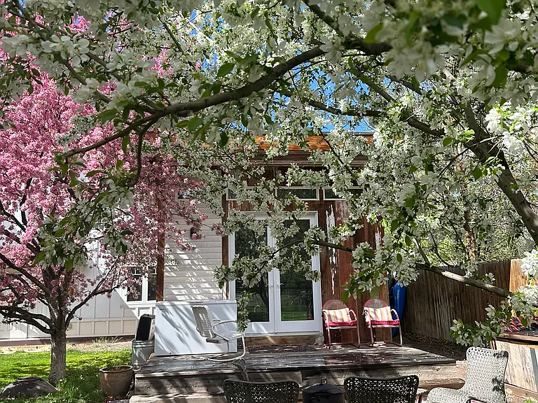 789 Lincoln Ave — Photo 2