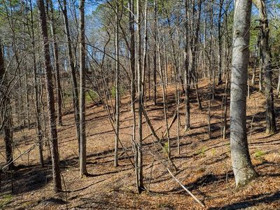 LOT 686 Julep Cir, Ellijay, GA, 30540