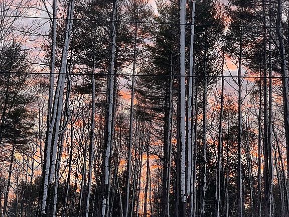 View from the front door!