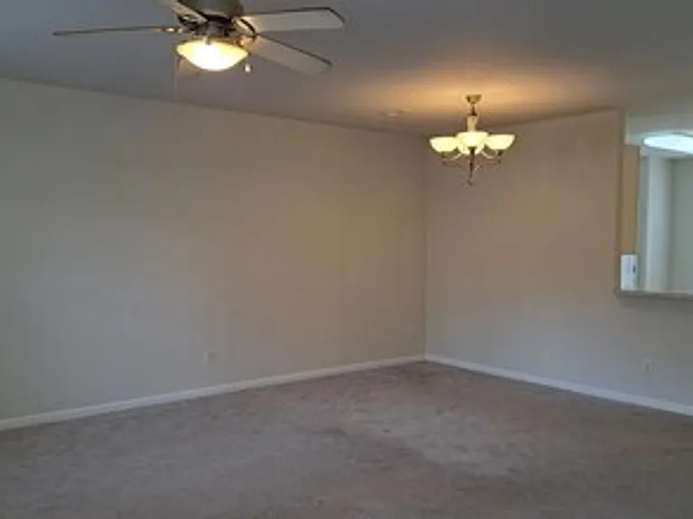 4411 Log Cabin Dr — Photo 5