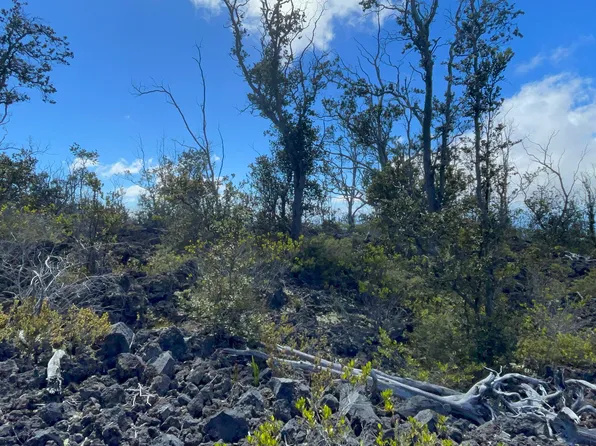 Outrigger Dr Lot 6, Ocean View, HI 96737
