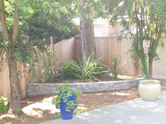 Great Landscaped Backyard