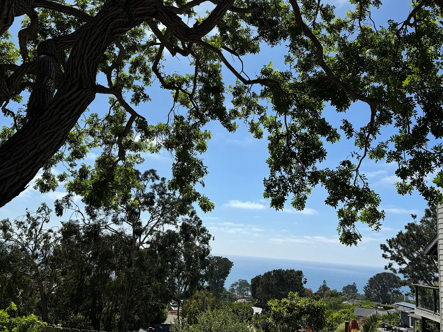 603 Amphitheatre Dr — Photo 4