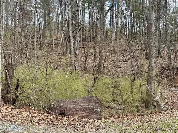 Tbd Cherry Blossom Ln, Wytheville, VA 24382