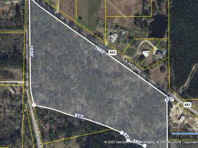 State Highway 441, Holden, LA, 70744