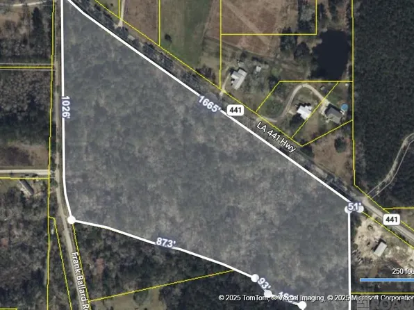 State Highway 441, Holden, LA 70744