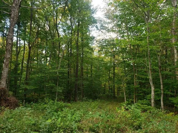 1.22 Rapke Rd #22, Constableville, NY 13325