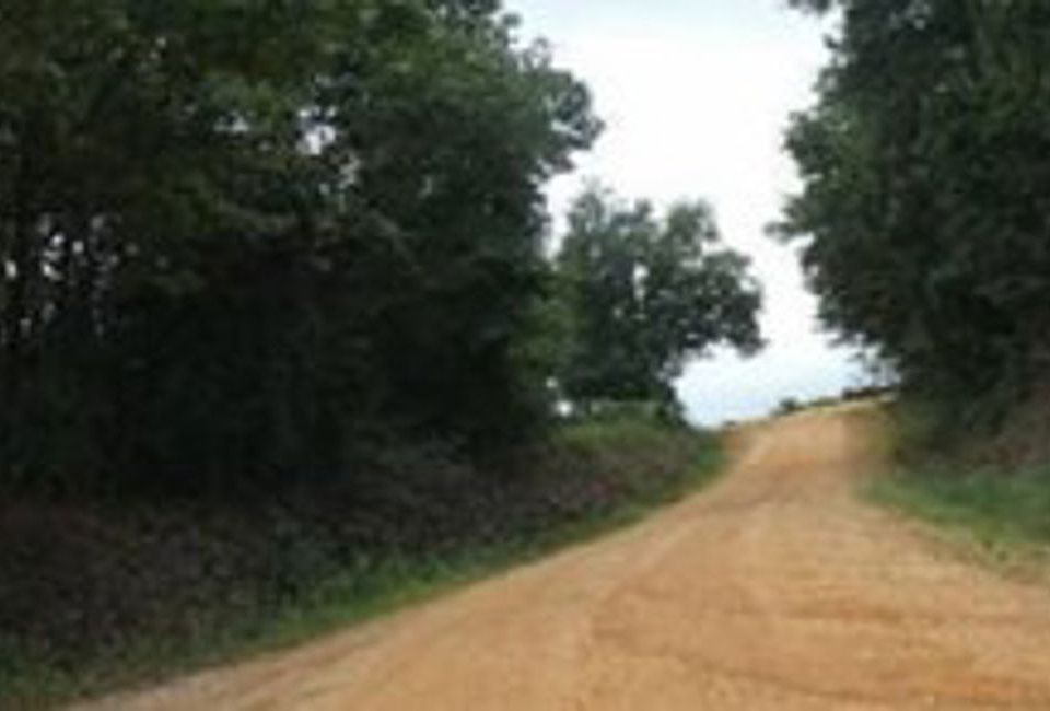 Exterior Neighborhood (street photo)