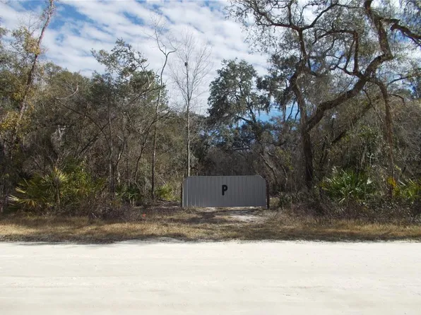 0 NE 836th St Lot 5, Old Town, FL 32680