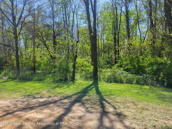 Spaulding Ct, Bellevue, MI 49021